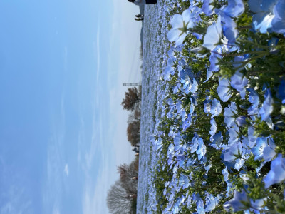 まきの写メ
