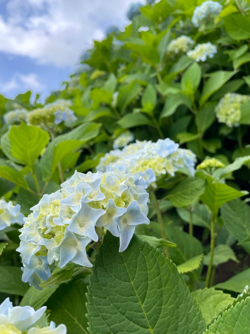 まきの写メ